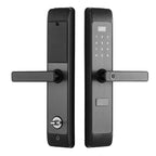 Smart Fingerprint Door Lock with Keypad and IC Card Access D-2019