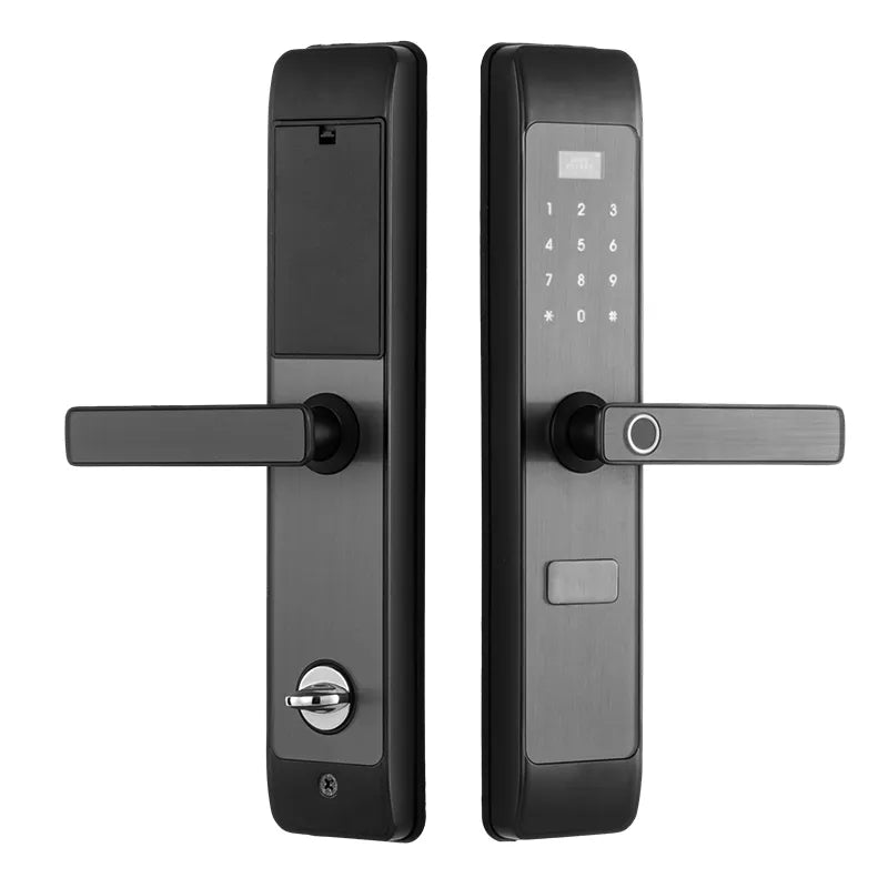 Smart Fingerprint Door Lock with Keypad and IC Card Access D-2019