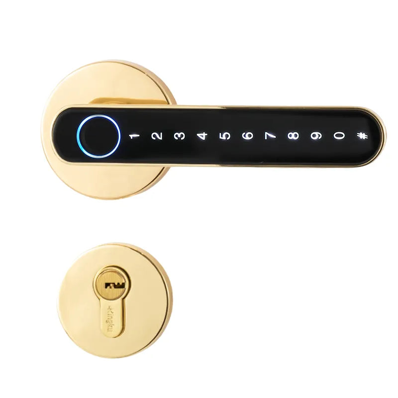Tuya Fingerprint Smart Split Door Lock with Bluetooth/WiFi/App Control T6