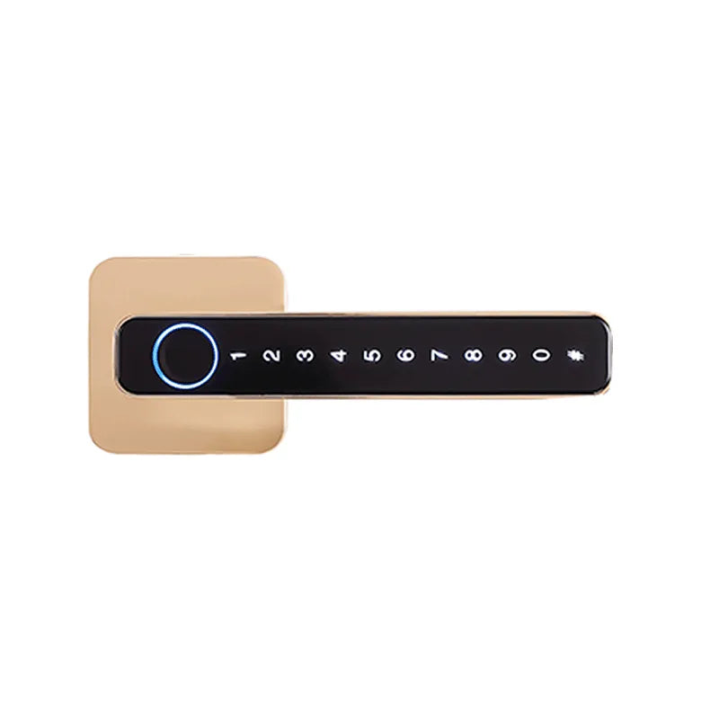 Fingerprint Smart Door Lock with Bluetooth and Password Access T9