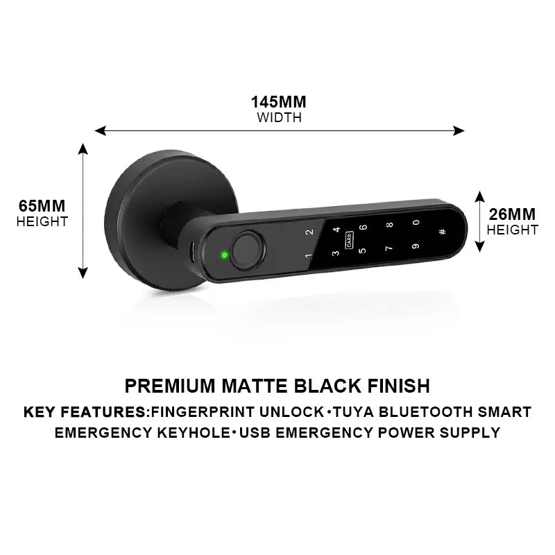 Fingerprint and Keypad Single Bolt Smart Lock T12