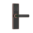 Universal Replacement Smart Lock for Interior Doors H3 Rose gold