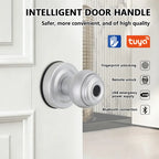 Tuya Bluetooth Fingerprint Smart Door Knob with App Control Q1