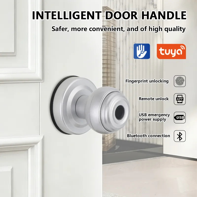 Tuya Bluetooth Fingerprint Smart Door Knob with App Control Q1