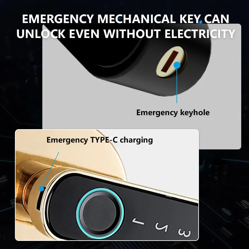 Tuya Fingerprint Smart Split Door Lock with Bluetooth/WiFi/App Control T6