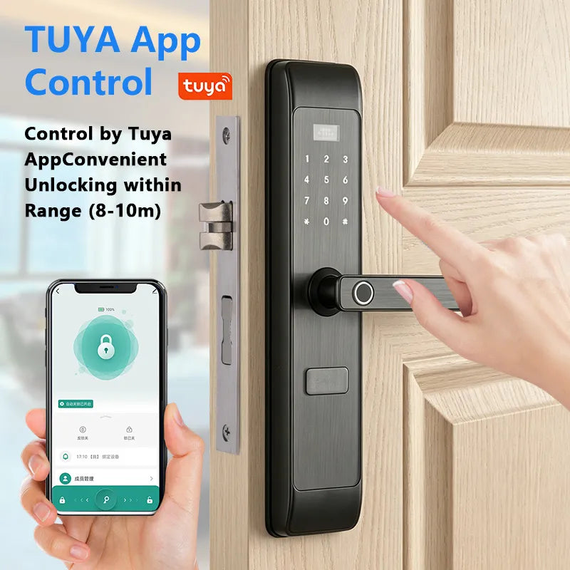 Smart Fingerprint Door Lock with Keypad and IC Card Access D-2019