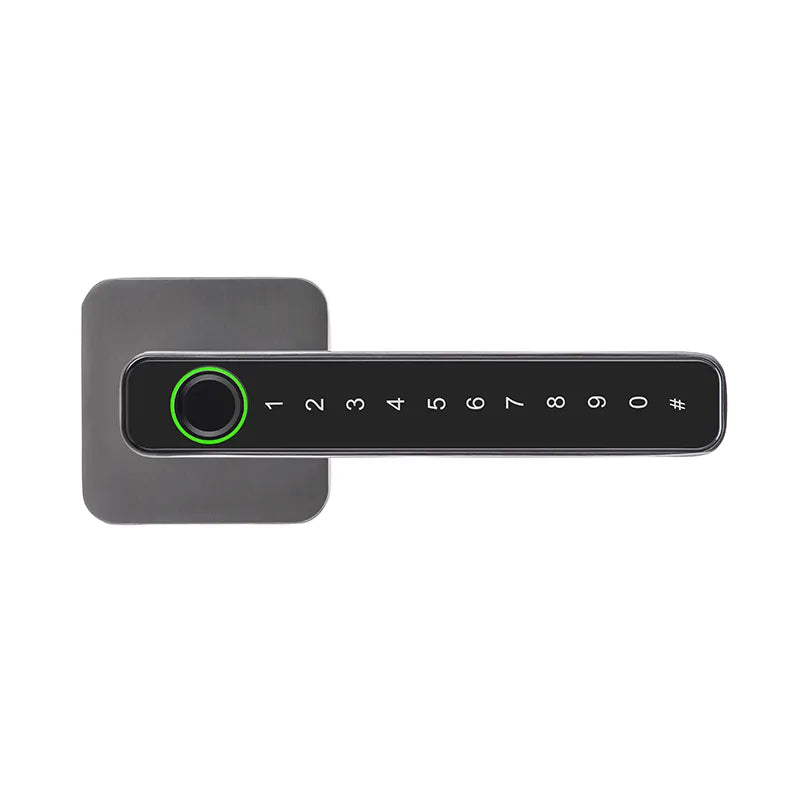 Fingerprint Smart Door Lock with Bluetooth and Password Access T9