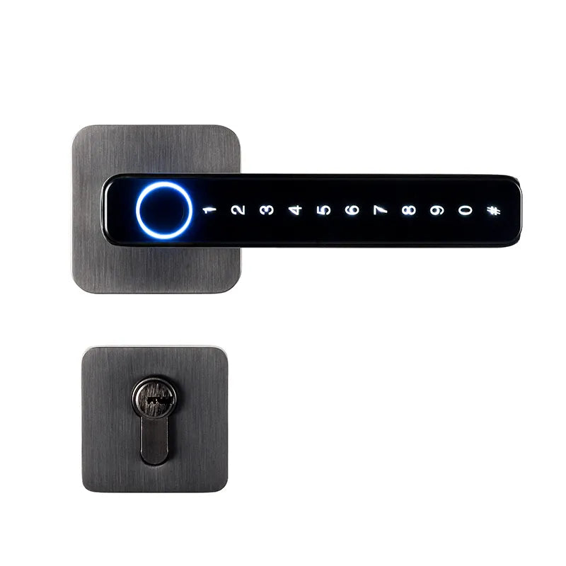 Tuya Fingerprint Smart Door Lock with Bluetooth and Password Access T10
